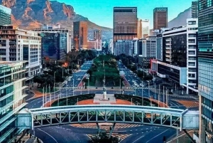 Kap Det Gode Håb og pingviner - privat tur