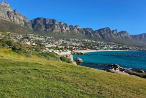 Kap Det Gode Håb og pingviner - privat tur