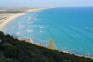 Kap Det Gode Håb og pingviner - privat tur