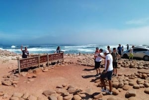 Cape of Good Hope & Penguins Private Tour