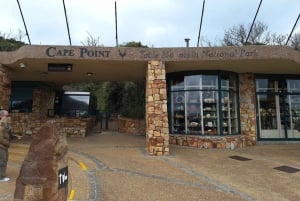 Cape of Good Hope & Penguins Private Tour