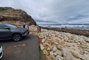 Cape of Good Hope & Penguins Private Tour