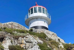 Cape of Good Hope & Pingviinit Jaettu kiertomatka