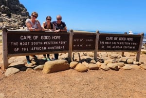 Совместный тур «Мыс Доброй Надежды и пингвины»