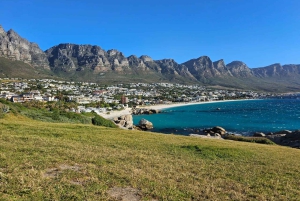 Совместный тур «Мыс Доброй Надежды и пингвины»