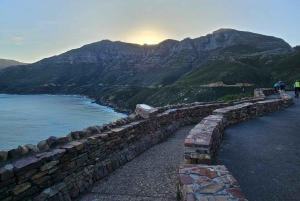 Совместный тур «Мыс Доброй Надежды и пингвины»