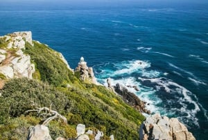 Tour en grupo reducido al Cabo de Buena Esperanza y los pingüinos desde Ciudad del Cabo