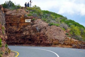 Tour en grupo reducido al Cabo de Buena Esperanza y los pingüinos desde Ciudad del Cabo