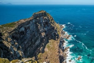 Cape of Good Hope Private Solo or Small Group day Tour.