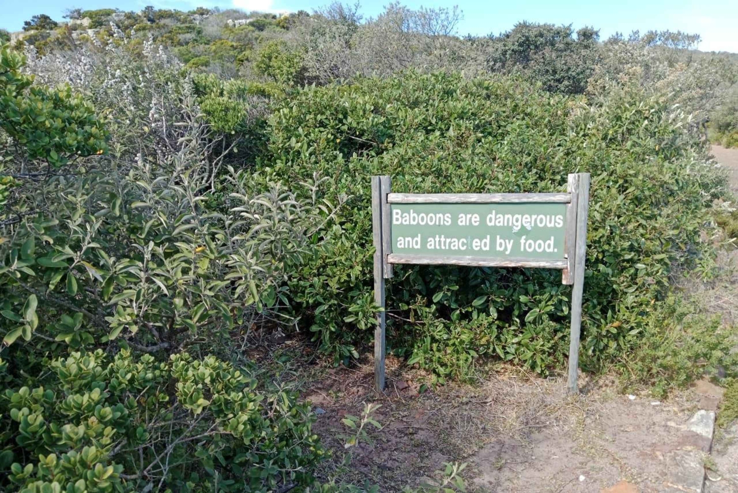Crociera al Capo di Buona Speranza e all'Isola delle foche'