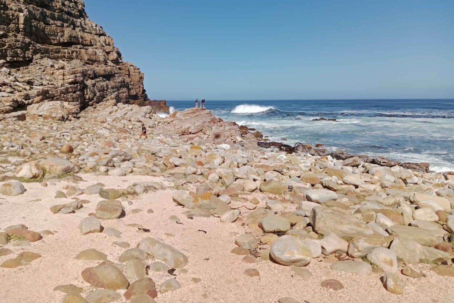 Crociera al Capo di Buona Speranza e all'Isola delle foche'