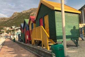 Crociera al Capo di Buona Speranza e all'Isola delle foche'