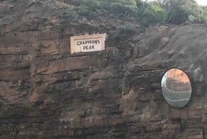 Crociera al Capo di Buona Speranza e all'Isola delle foche'