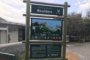 Crociera al Capo di Buona Speranza e all'Isola delle foche'