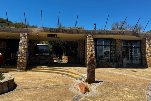 Crociera al Capo di Buona Speranza e all'Isola delle foche'
