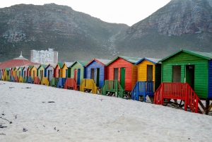 Cape of Good Hope: Sightseeing and African Penguins Tour