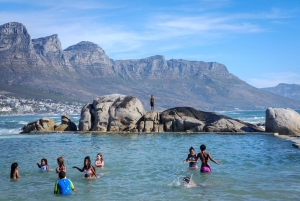 Cape of Good Hope: Sightseeing and African Penguins Tour