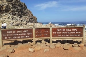 Capo di Buona Speranza: giro turistico e tour dei pinguini africani