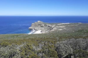 Cabo de Buena Esperanza: Visita turística y excursión a los pingüinos africanos