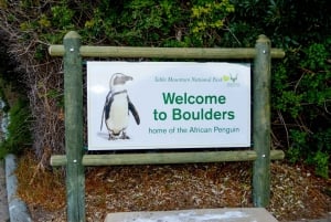 Kapp det gode håp: Sightseeing og afrikanske pingviner