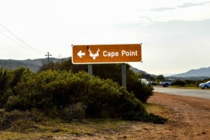 Cape of Good Hope: sightseeing och tur med afrikanska pingviner