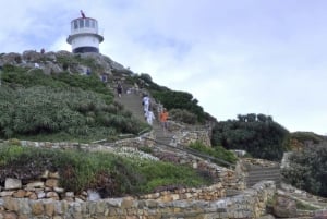 Cape of Good Hope: sightseeing och tur med afrikanska pingviner