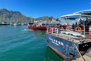 Экскурсия на мыс Доброй Надежды > Чапманс Драйв > Пингвины > Остров тюленей