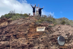 Экскурсия на мыс Доброй Надежды > Чапманс Драйв > Пингвины > Остров тюленей