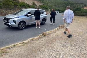 Экскурсия на мыс Доброй Надежды > Чапманс Драйв > Пингвины > Остров тюленей