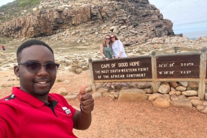 Экскурсия на мыс Доброй Надежды > Чапманс Драйв > Пингвины > Остров тюленей