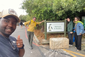 Экскурсия на мыс Доброй Надежды > Чапманс Драйв > Пингвины > Остров тюленей