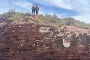 Экскурсия на мыс Доброй Надежды > Чапманс Драйв > Пингвины > Остров тюленей