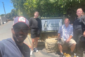 Экскурсия на мыс Доброй Надежды > Чапманс Драйв > Пингвины > Остров тюленей