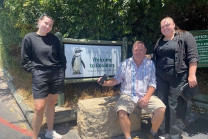 Экскурсия на мыс Доброй Надежды > Чапманс Драйв > Пингвины > Остров тюленей