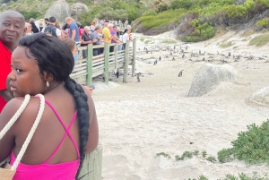 Экскурсия на мыс Доброй Надежды > Чапманс Драйв > Пингвины > Остров тюленей