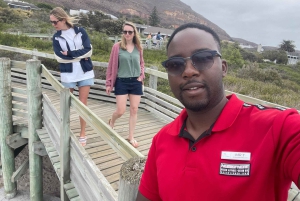 Экскурсия на мыс Доброй Надежды > Чапманс Драйв > Пингвины > Остров тюленей