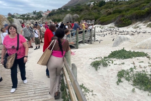 Экскурсия на мыс Доброй Надежды > Чапманс Драйв > Пингвины > Остров тюленей