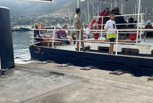 Экскурсия на мыс Доброй Надежды > Чапманс Драйв > Пингвины > Остров тюленей