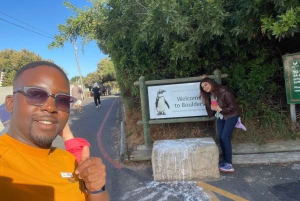 Экскурсия на мыс Доброй Надежды > Чапманс Драйв > Пингвины > Остров тюленей