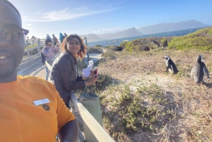 Экскурсия на мыс Доброй Надежды > Чапманс Драйв > Пингвины > Остров тюленей