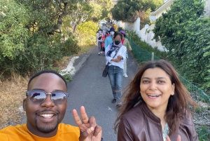 Экскурсия на мыс Доброй Надежды > Чапманс Драйв > Пингвины > Остров тюленей