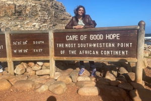 Экскурсия на мыс Доброй Надежды > Чапманс Драйв > Пингвины > Остров тюленей