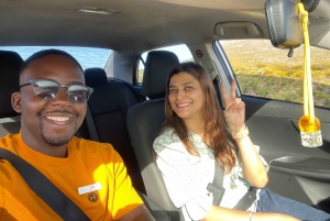 Экскурсия на мыс Доброй Надежды > Чапманс Драйв > Пингвины > Остров тюленей