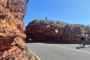 Экскурсия на мыс Доброй Надежды > Чапманс Драйв > Пингвины > Остров тюленей