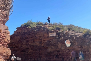 Экскурсия на мыс Доброй Надежды > Чапманс Драйв > Пингвины > Остров тюленей