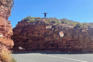 Экскурсия на мыс Доброй Надежды > Чапманс Драйв > Пингвины > Остров тюленей