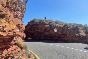 Экскурсия на мыс Доброй Надежды > Чапманс Драйв > Пингвины > Остров тюленей