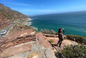 Экскурсия на мыс Доброй Надежды > Чапманс Драйв > Пингвины > Остров тюленей