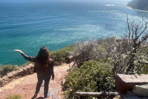 Экскурсия на мыс Доброй Надежды > Чапманс Драйв > Пингвины > Остров тюленей