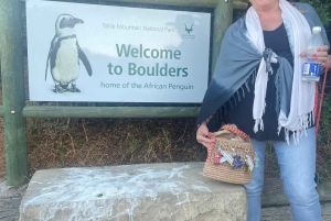 Экскурсия на мыс Доброй Надежды > Чапманс Драйв > Пингвины > Остров тюленей